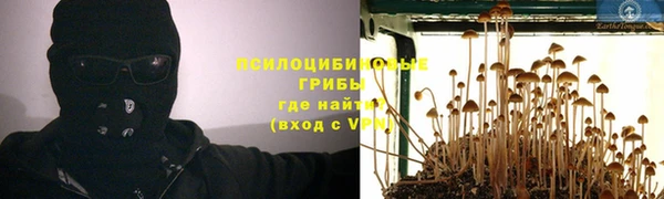 метадон Богданович
