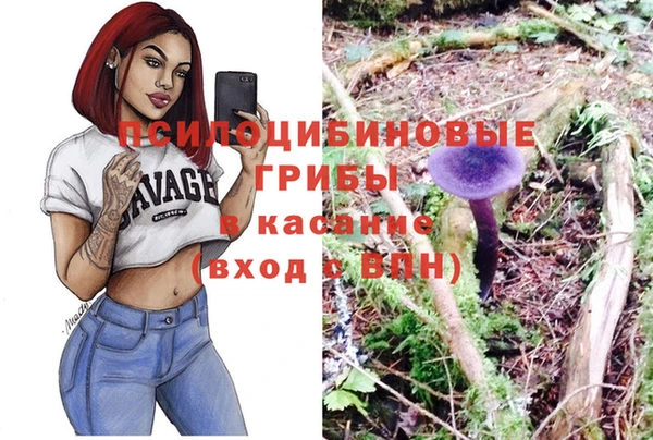 метадон Богданович