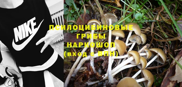 синтетический гашиш Богородск