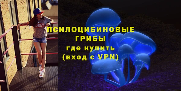 метадон Богданович