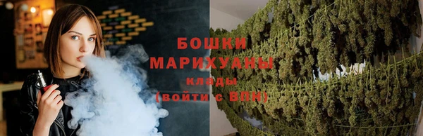 метадон Богданович