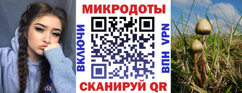 Псилоцибиновые грибы мухоморы  shop телеграм  Севск 